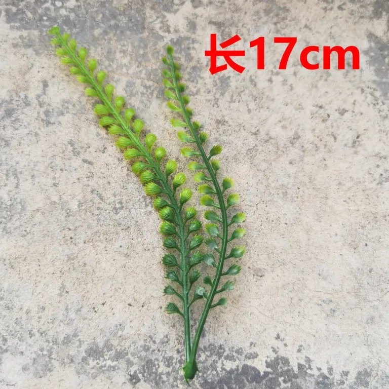 تصویر کالا