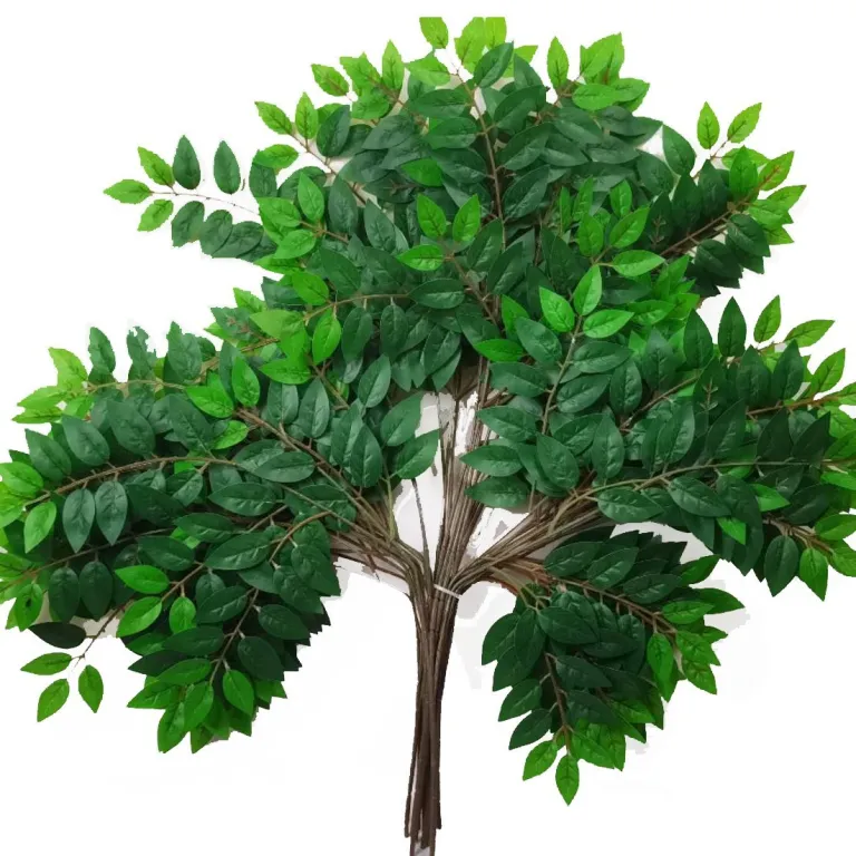 شاخه مصنوعی برگ اقاقیا، نارون و عناب برای محوطه‌سازی و دکوراسیون سبز