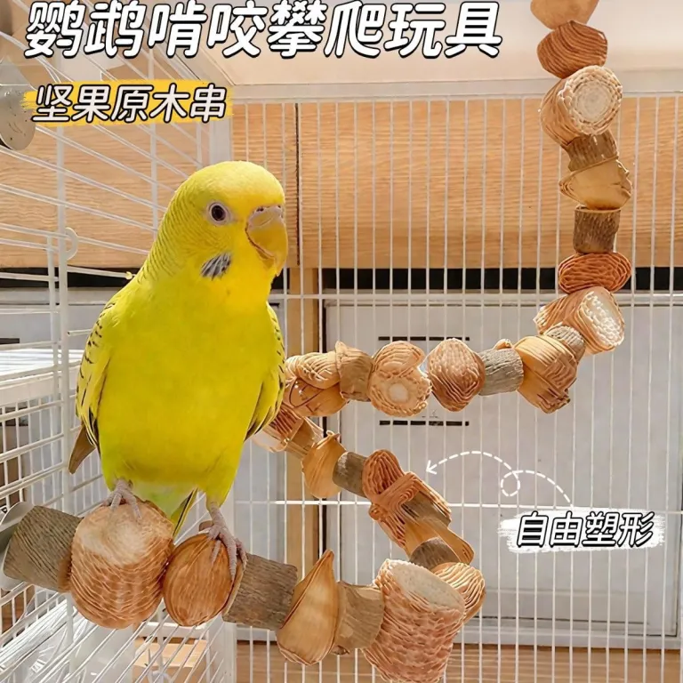 اسباب‌بازی جویدنی طوطی از جنس آجیل کاج، آناناس و بلال ذرت برای بالا رفتن، مناسب طوطی‌های راهب، عروس هلندی، طوطی برزیلی و مرغ عشق، میله سوهان دندان و تزئینی