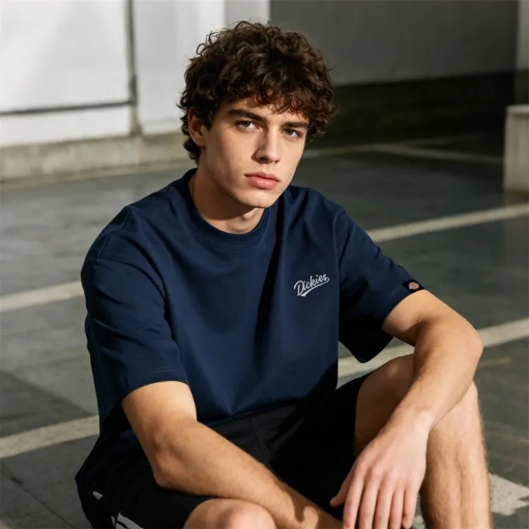 تی‌شرت مردانه نخی سنگین Dickies، تنفس‌پذیر و راحت، مدل کلاسیک وینتیج، آستین کوتاه، استایل روزمره آمریکایی