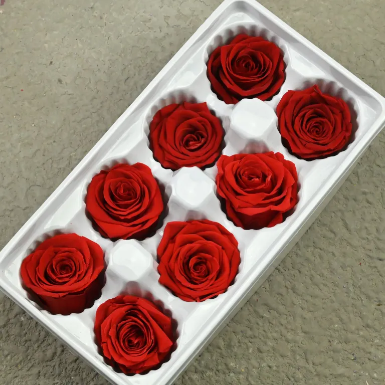 تصویر کالا