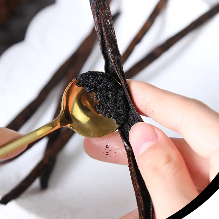 وانیل ماداگاسکار بن 13-19cm تک غلاف وانیل تاهیتی، چوب وانیل جزیره ماداگاسکار مخصوص پخت و پز