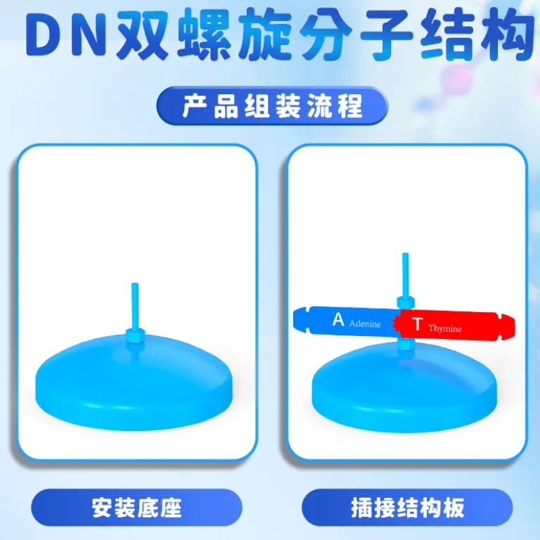 مدل اجزای ساختار مارپیچ دوگانه DNA، ابزار آموزشی ژنتیک و واریاسیون زیستی، دستگاه آزمایشگاهی
