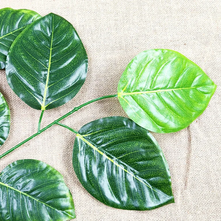 تصویر کالا