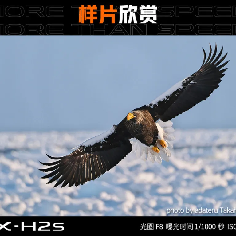 دوربین بدون آینه FUJIFILM X-H2s فیلم‌برداری 6K لرزشگیر پنج‌محوره عکاسی پیاپی پرسرعت xh2s
