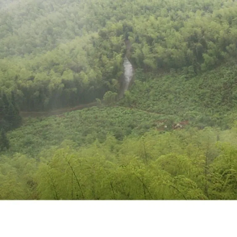 خلال دندان بامبو دو سر عمده کارخانه یکبار مصرف بسته‌ای خلال دندان میوه‌ای خانگی هتل رستوران سوپرمارکت نواری