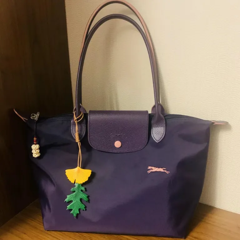 کیف توت Longchamp 70 مدل گلدوزی سالگرد، کیف دوشی، کیف دستی، کیف مامان، مناسب استفاده روزانه با ظرفیت بالا