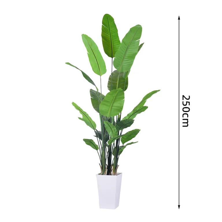 تصویر کالا