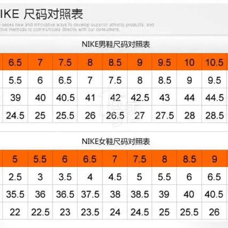 کفش بسکتبال مردانه و زنانه LeBron James نسخه صحیح پوتیان 22 با چندین طرح قابل انتخاب FZ1098-100