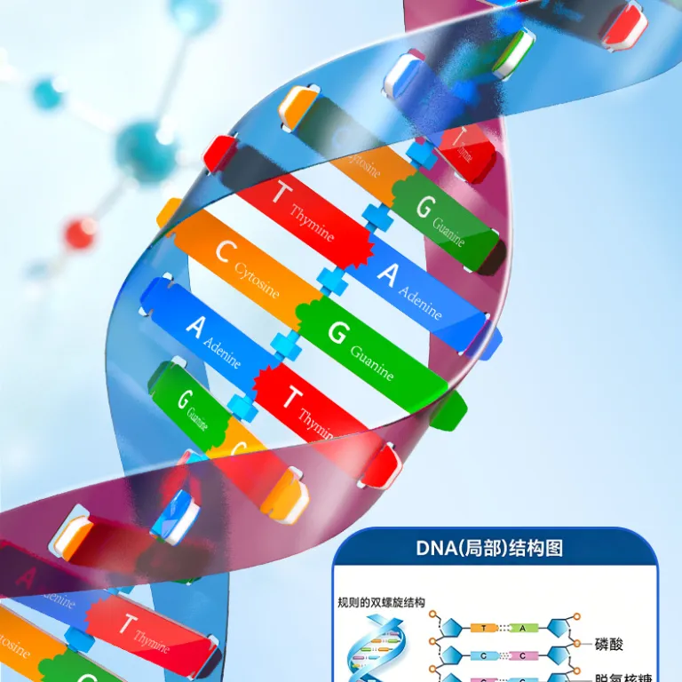 مدل اجزای ساختار مارپیچ دوگانه DNA، ابزار آموزشی ژنتیک و واریاسیون زیستی، دستگاه آزمایشگاهی