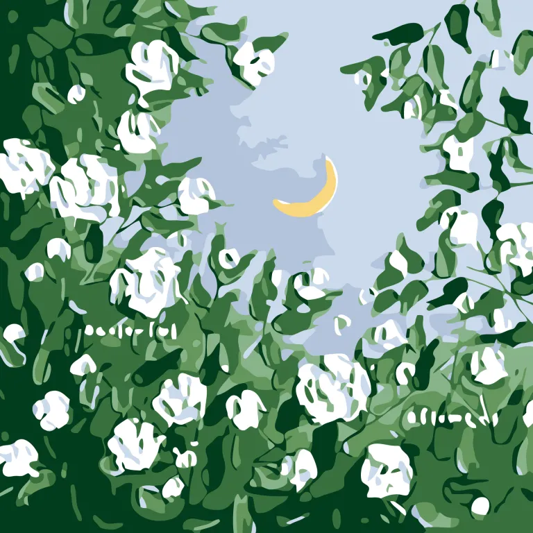 نقاشی رنگ‌آمیزی با اعداد 30-30 عمده کاردستی کودکانه انیمه‌ای برای دستفروشی منظره سانریو تابلوی تزئینی