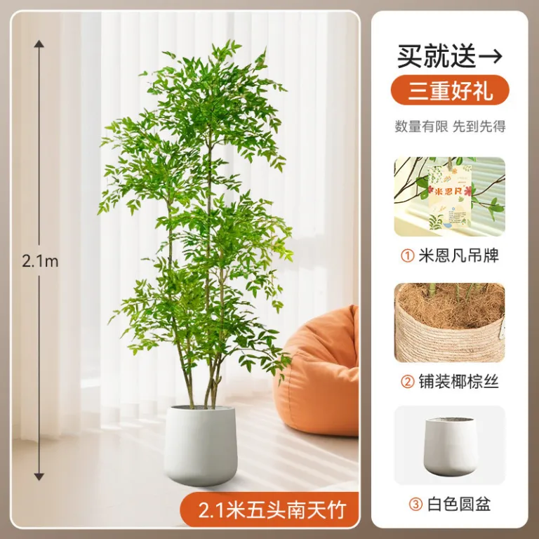 تصویر کالا