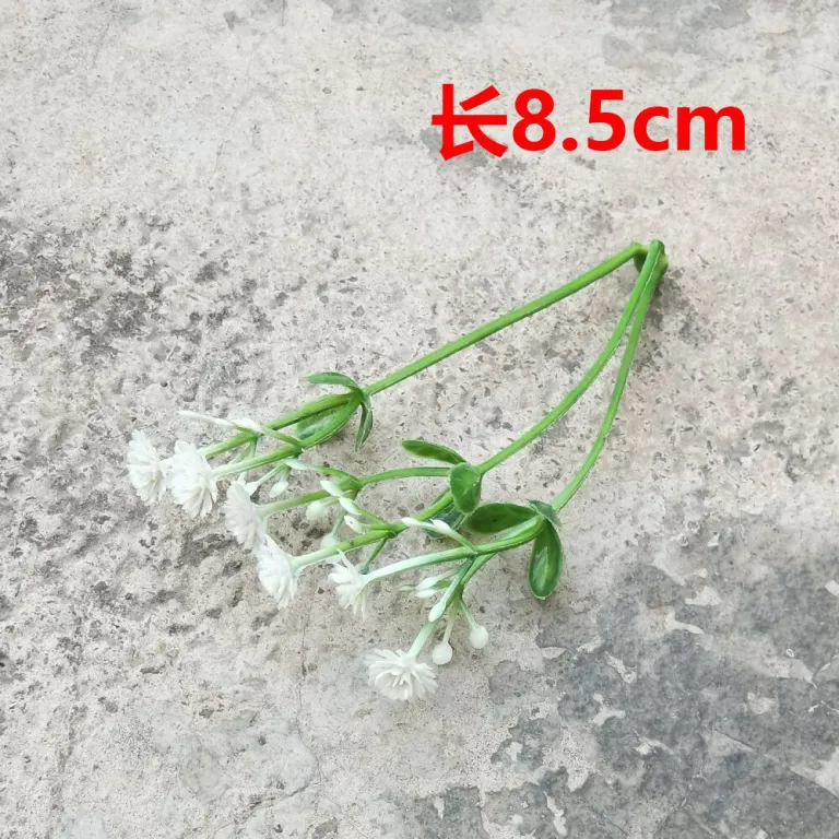 تصویر کالا