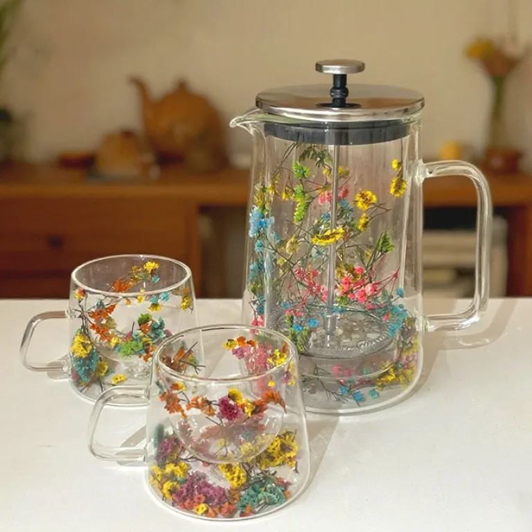 فرنچ پرس دولایه شیشه بوروسیلیکات با فیلتر قهوه، قوری فرنچ پرس خانگی برای دم کردن چای و قهوه