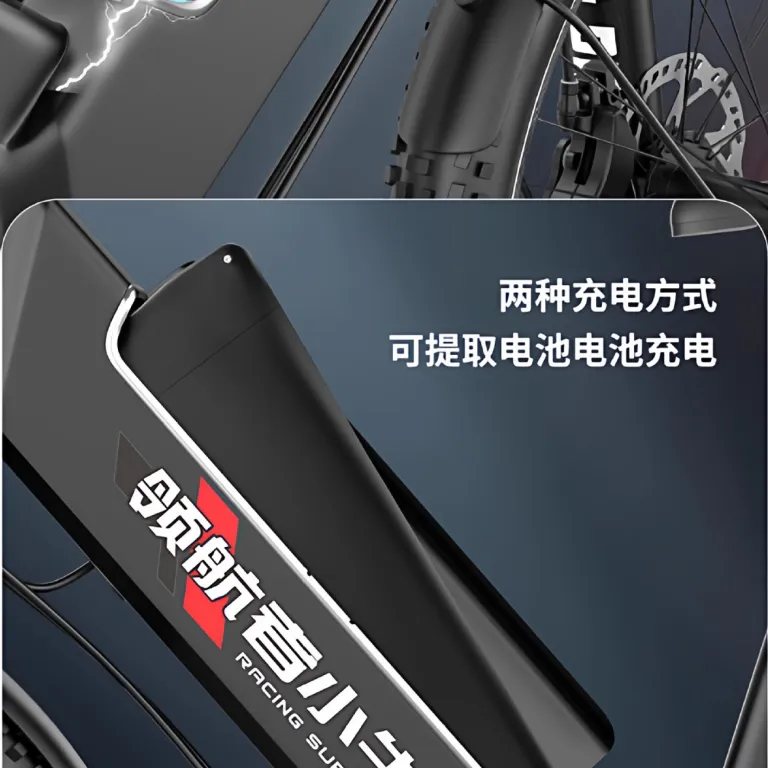 دوچرخه برقی کمکی کارخانه E-bike دوچرخه کوهستان 21 دوچرخه برقی سرعتی 26 اینچ دوچرخه برقی