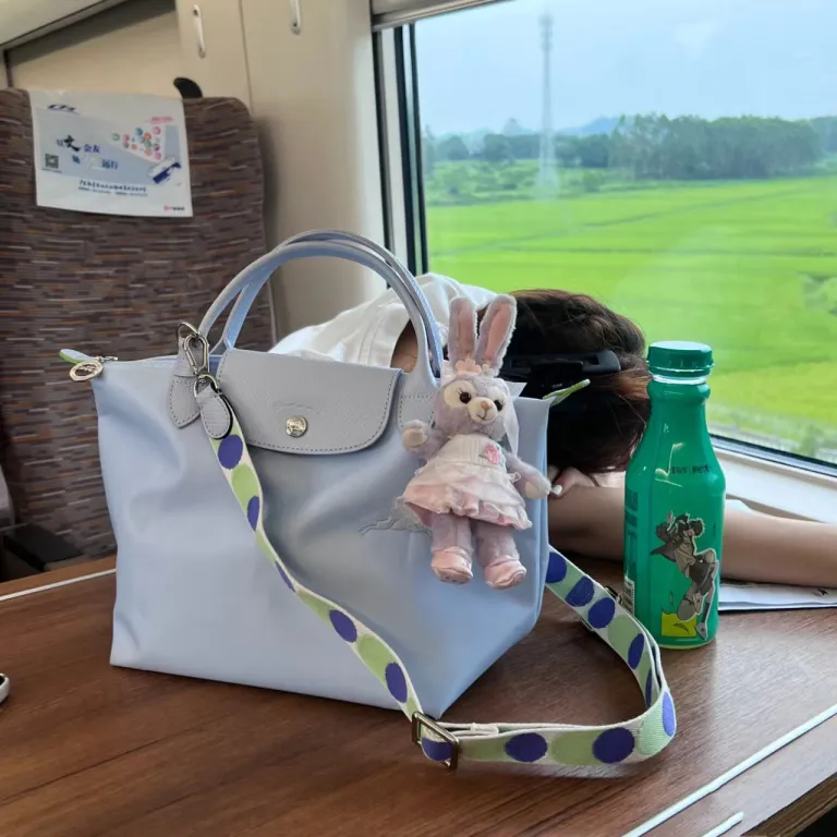 کیف توت Longchamp 70 مدل گلدوزی سالگرد، کیف دوشی، کیف دستی، کیف مامان، مناسب استفاده روزانه با ظرفیت بالا