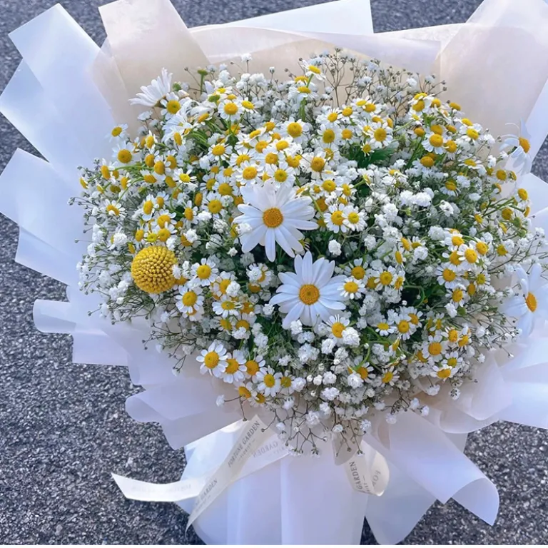 کاغذ اویا و کاغذ هانسو دو رنگ ضدآب برای بسته‌بندی گل، دسته گل فروشی، کاغذ کادو و مواد بسته‌بندی هدیه