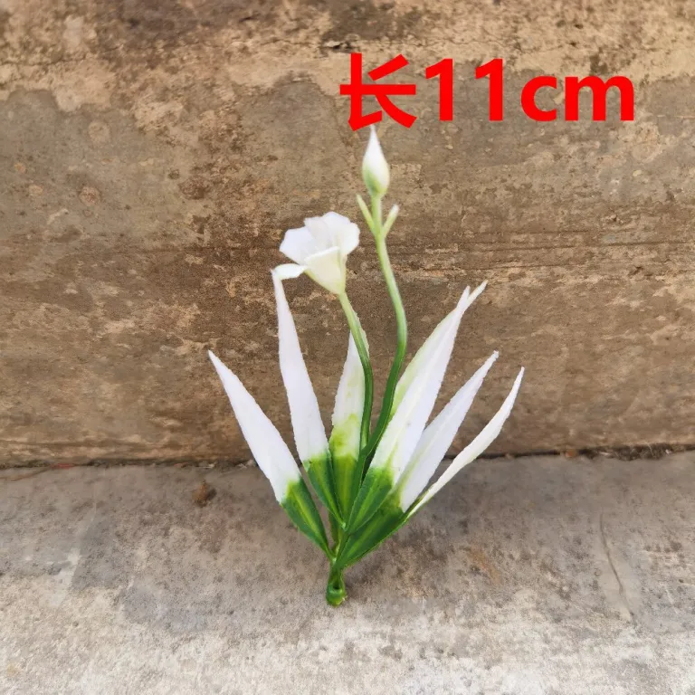 تصویر کالا