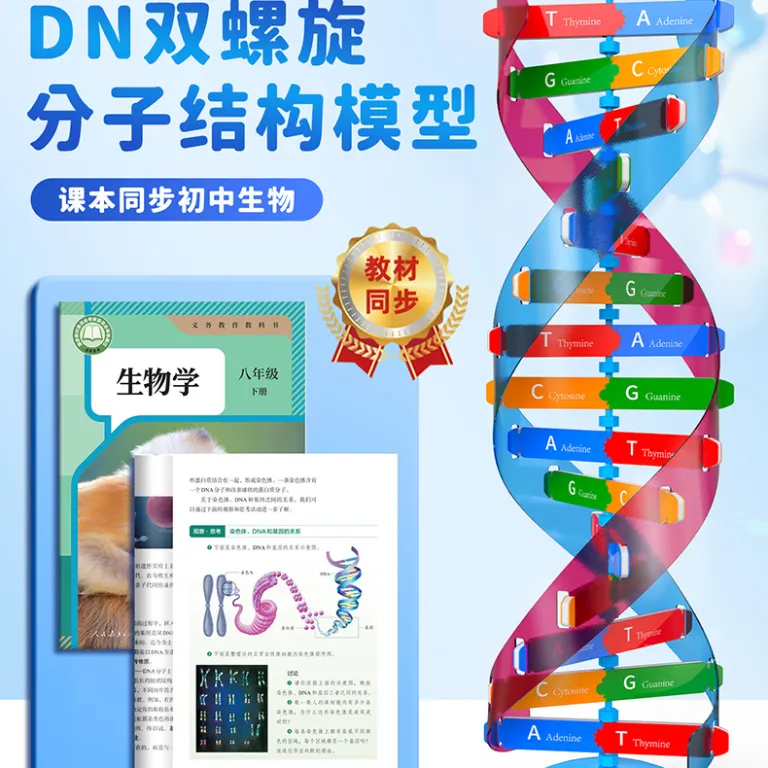مدل اجزای ساختار مارپیچ دوگانه DNA، ابزار آموزشی ژنتیک و واریاسیون زیستی، دستگاه آزمایشگاهی