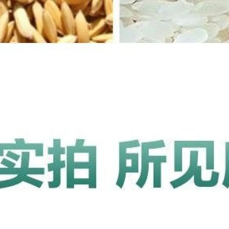 دستگاه برنج‌کوب حذف حشرات برنج خانگی و تجاری، حذف شپشه و کرم برنج 220V دستگاه الک حشرات برنج