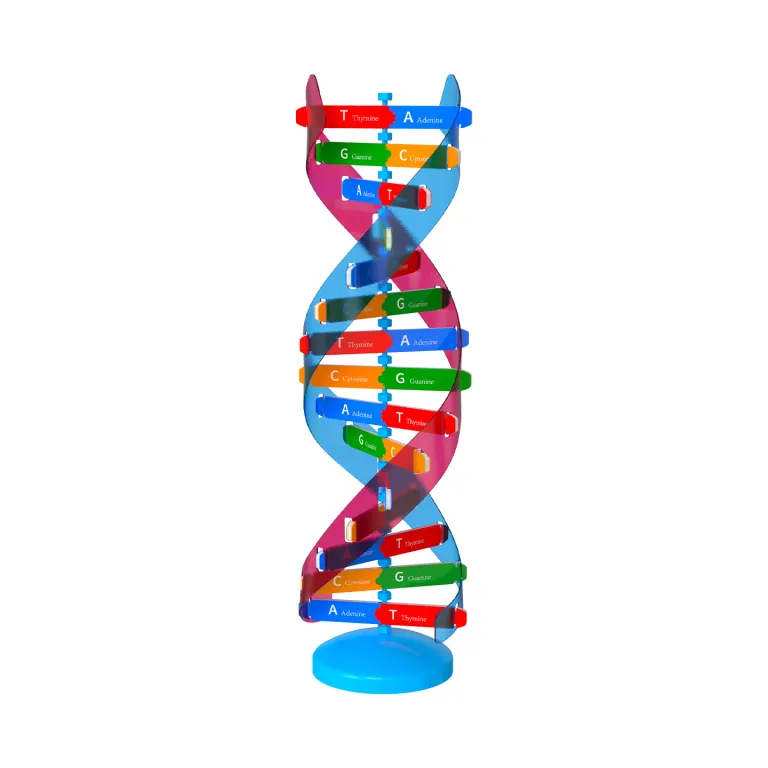 مدل اجزای ساختار مارپیچ دوگانه DNA، ابزار آموزشی ژنتیک و واریاسیون زیستی، دستگاه آزمایشگاهی