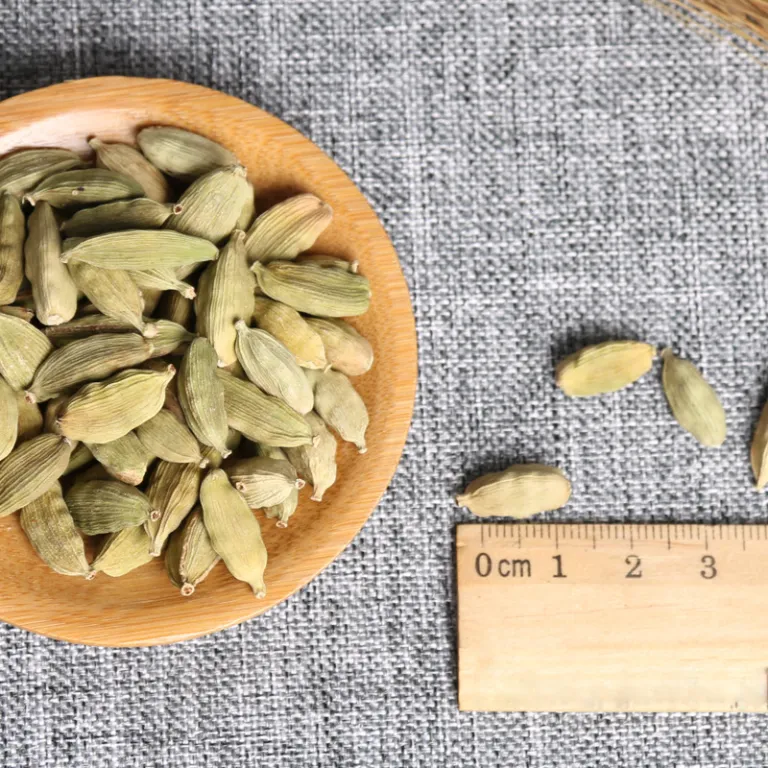 هل سبز ریز 10 کیلوگرم عمده در کارتن برای مصارف تجاری، مواد غذایی و نوشیدنی، بسته‌بندی 50 گرمی برای مصارف خانگی