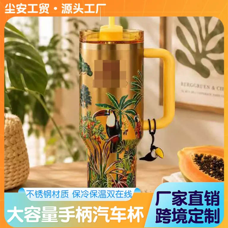 فلاسک طرحدار استوایی مشترک جدید 304 استیل ضدزنگ، نگهدارنده سرما و گرما، لیوان یخی، عمدهفروشی کارخانه