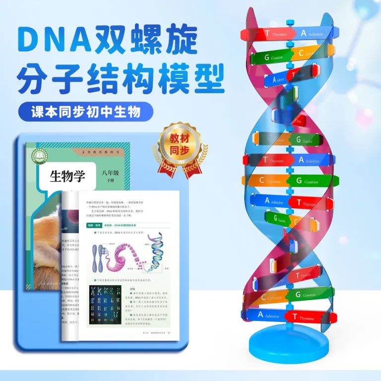 مدل اجزای ساختار مارپیچ دوگانه DNA، ابزار آموزشی ژنتیک و واریاسیون زیستی، دستگاه آزمایشگاهی