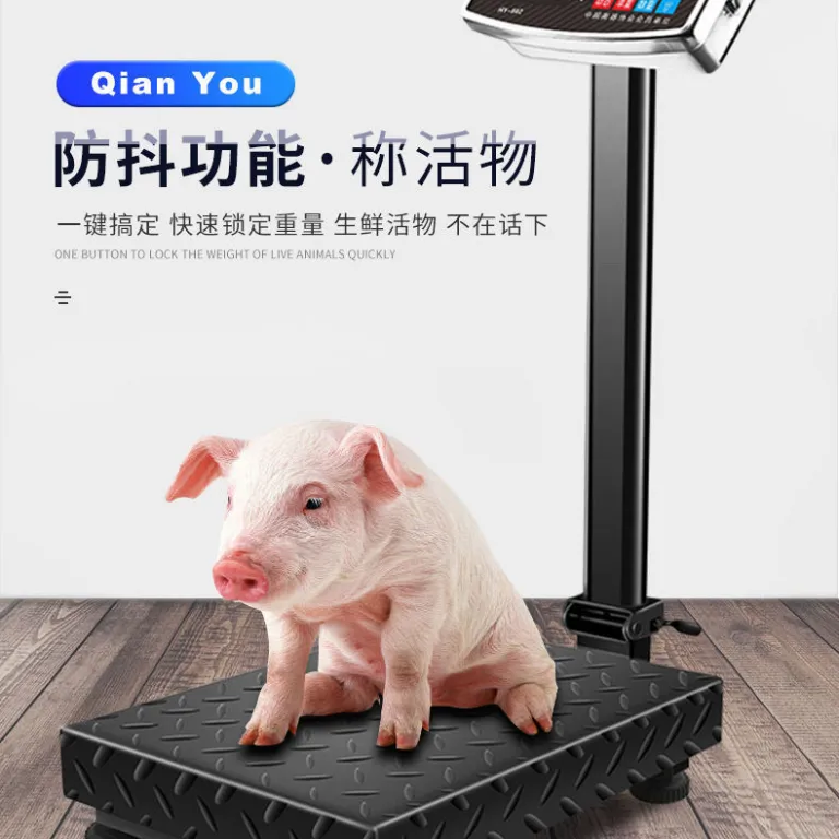 ترازوی الکترونیکی تجاری رومیزی 300 کیلوگرم توزین و قیمت‌گذاری 100kg ترازوی وزن‌کشی بدن از جنس استیل ضدزنگ