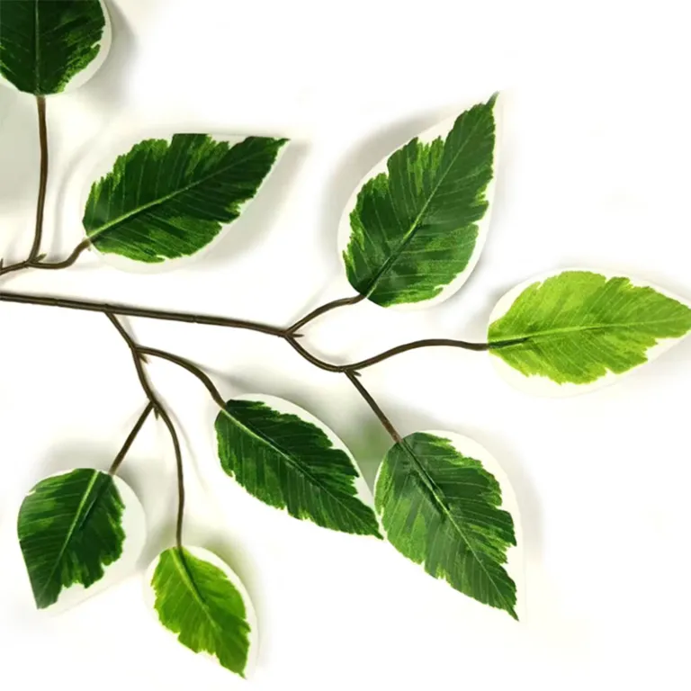 شاخه مصنوعی برگ انجیری با روکش پلاستیکی، برگ سبز مصنوعی برای تزئین باغ و فضای سبز