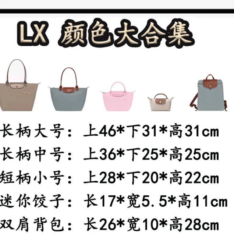 کیف توت فرانسوی طرح لونشان 70 با گلدوزی سالگرد، دوشی و دستی زنانه با ظرفیت بالا مدل پیراشکی