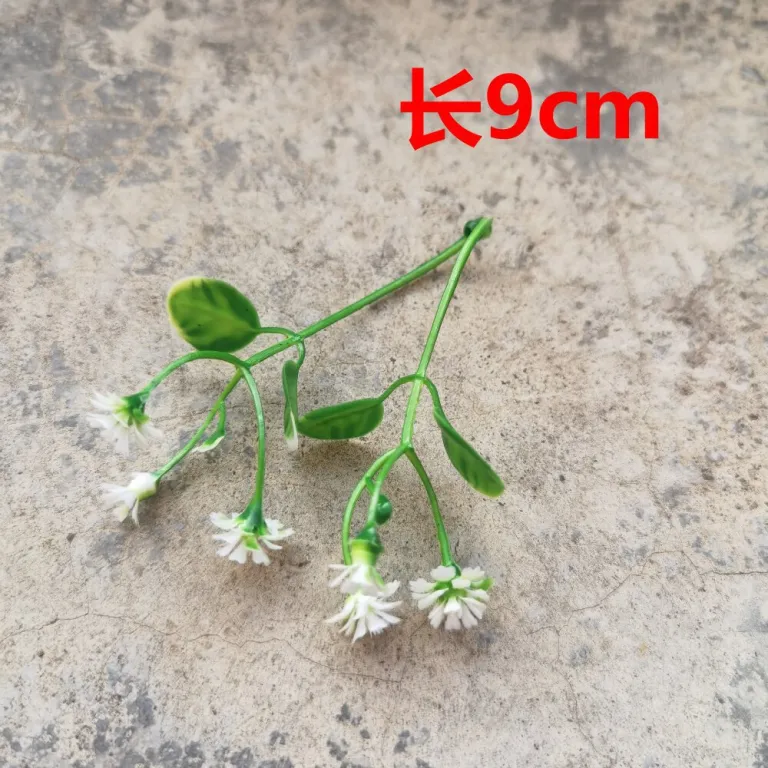 تصویر کالا