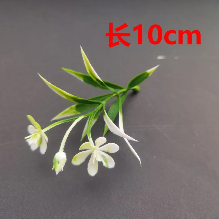 تصویر کالا