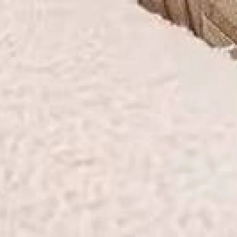 تصویر کالا