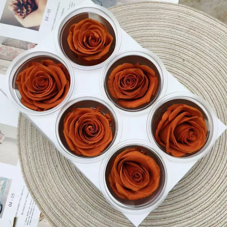 تصویر کالا