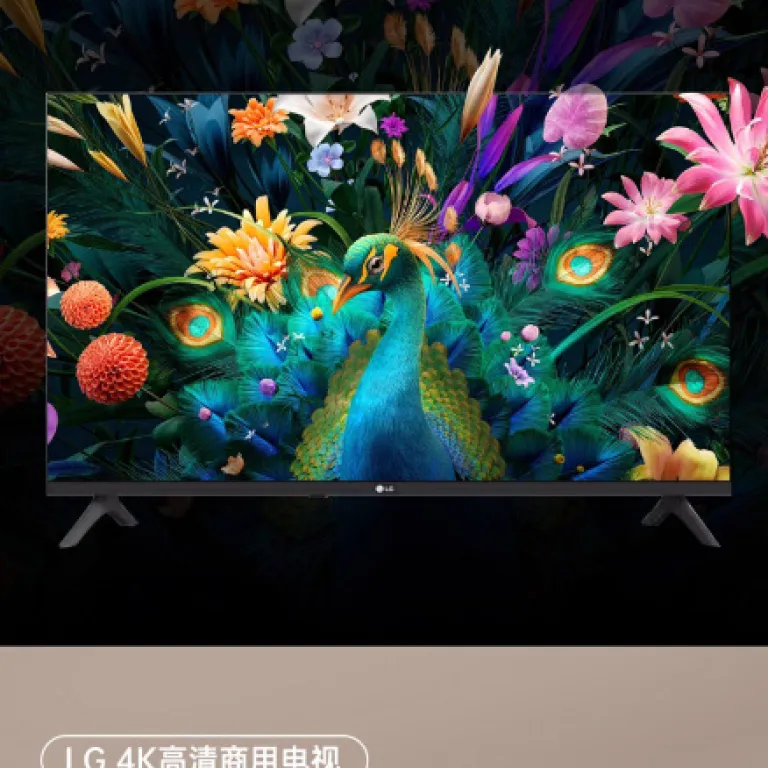 تلویزیون تجاری LG 65 اینچ 65UK540E 4K هوشمند تمام‌صفحه روشن‌شدن با برق