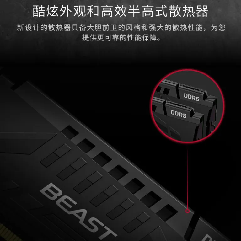 رم Kingston ShenTiao DDR5 6000MHz 16GB*2 رم دسکتاپ نسل پنجم سری Beast