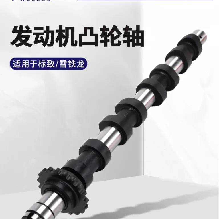 0801Z91313804 مناسب پژو 206307308407 سیتروئن C3C4 میل‌بادامک موتور