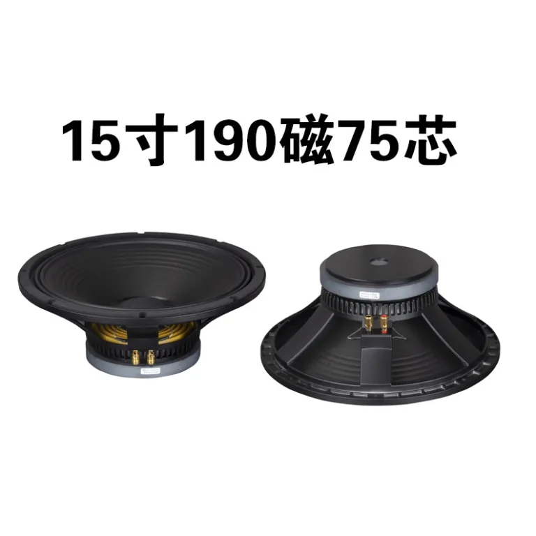 اسپیکر قدرتمند LMO دو 15 اینچ SRX725 برای اجرای زنده حرفه‌ای، مراسم، کارائوکه، بار و دیسکو