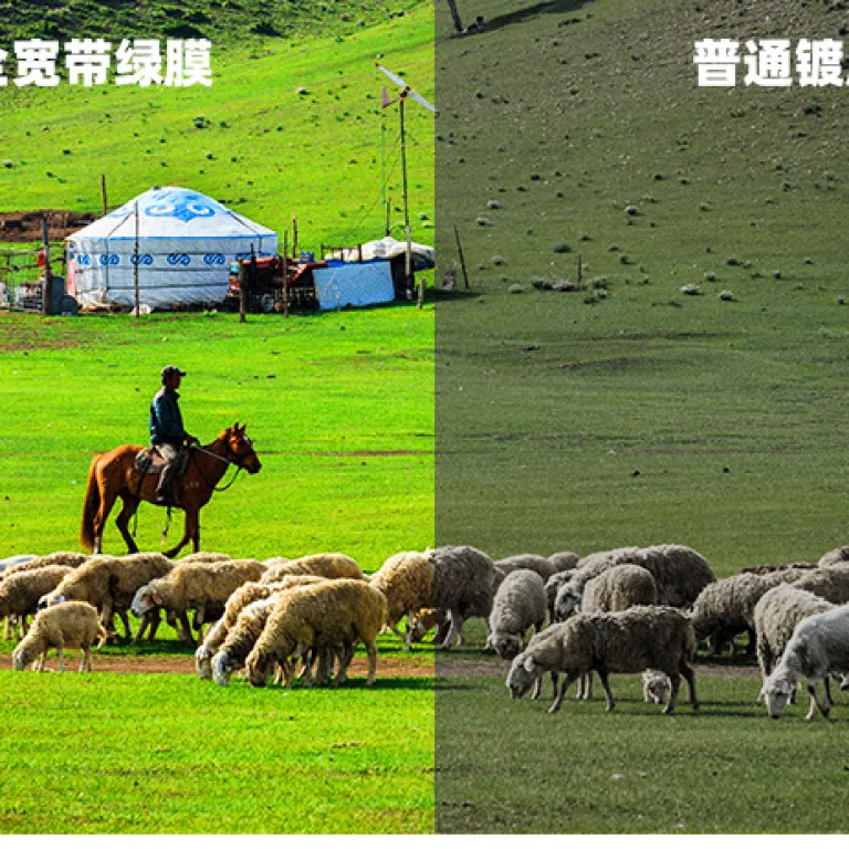 دوربین دوچشمی مستقیم HABO هابو 10*42 با بزرگنمایی بالا، وضوح بالا، دید در شب با نور کم، قابل حمل برای سفر، تمام فلزی