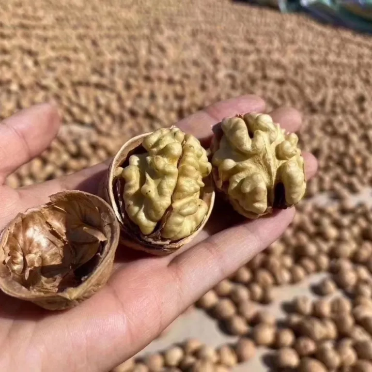 گردوی پوست‌کاغذی سین‌کیانگ 185، محصول تازه فله‌ای 500 گرم/کیسه، پوست نازک، طعم اصلی، عمده