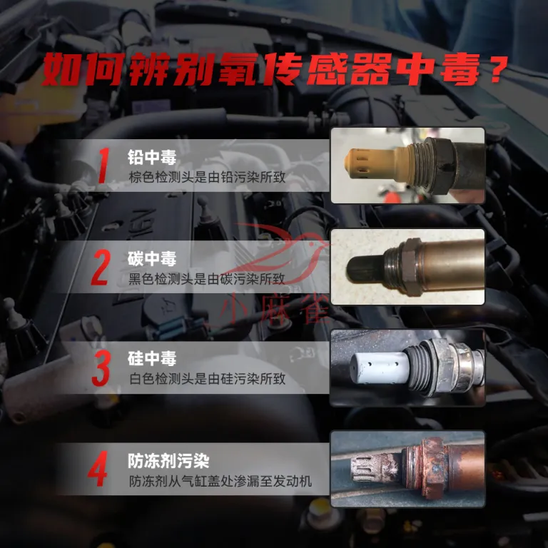 سنسور اکسیژن جلو مناسب برای وولینگ / QQ0.8 / جینیوکسینگ / زیمنس 5WY3173A-1