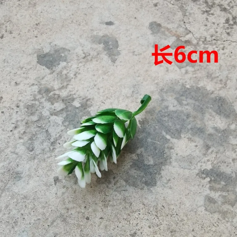 تصویر کالا