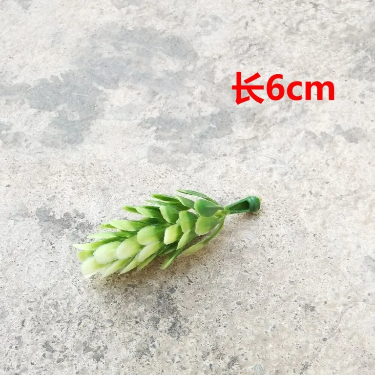 تصویر کالا