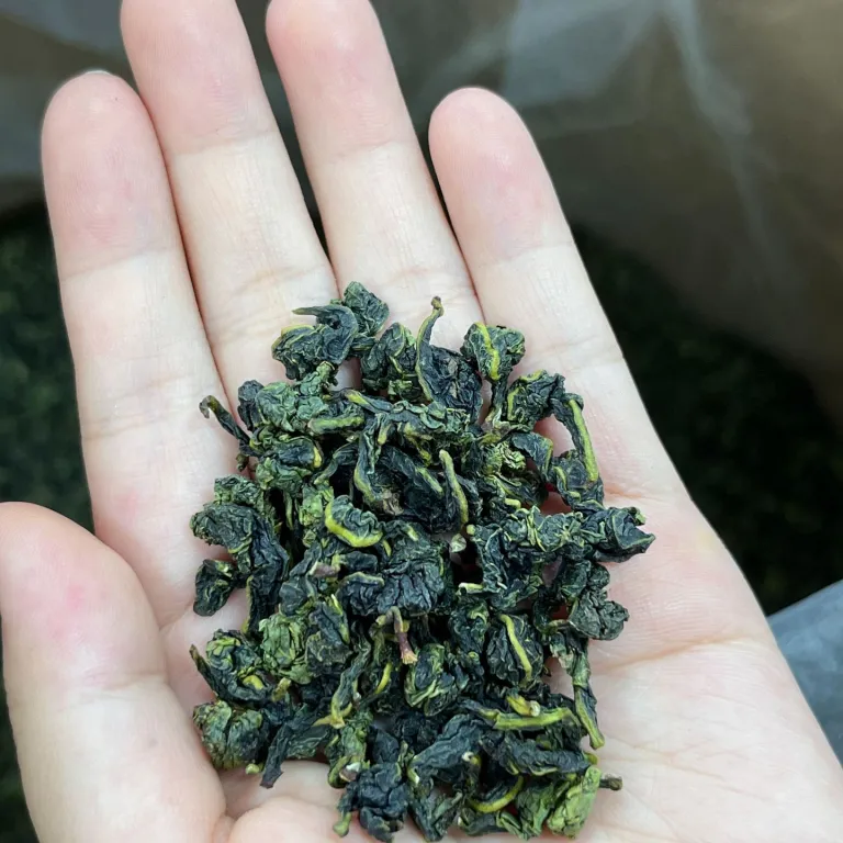 2026 چای تیه‌گوان‌یین با عطر قوی، اولانگ کوهستانی فله، مناسب فروش زمینی و عمده از آنشی