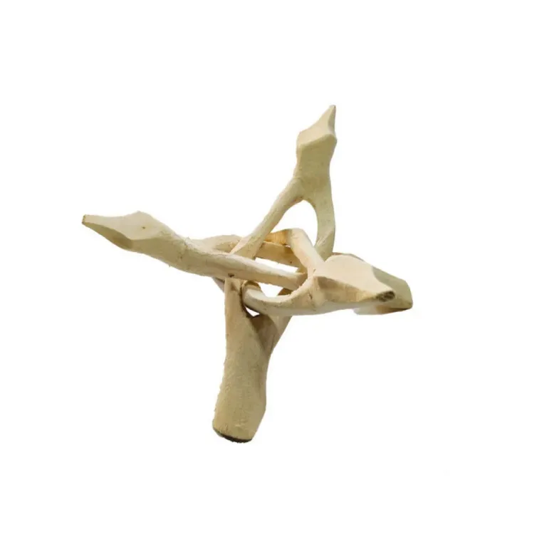 تصویر کالا
