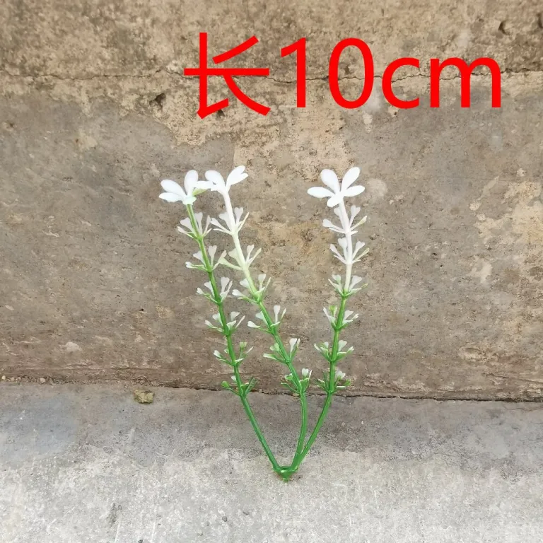 تصویر کالا