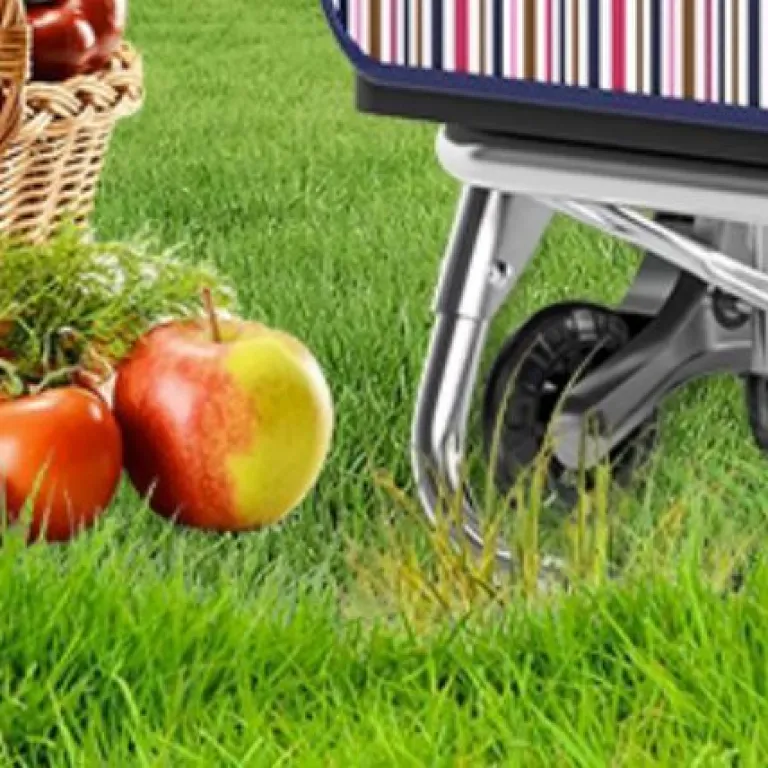 سبد خرید تاشو سبک و قابل حمل برای خرید روزانه و حمل بار