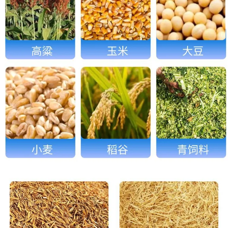 دستگاه پلت‌ساز خوراک دام کوچک خانگی برای مرغ، اردک، غاز، گاو، گوسفند، ذرت و کنجاله سویا مناسب صادرات