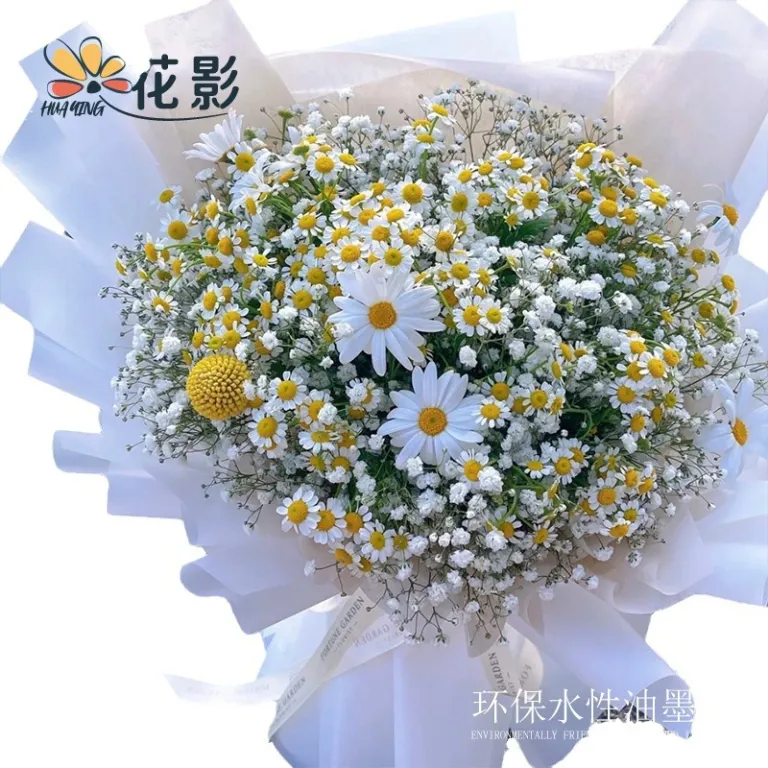 کاغذ اویا و کاغذ هانسو دو رنگ ضدآب برای بسته‌بندی گل، دسته گل فروشی، کاغذ کادو و مواد بسته‌بندی هدیه